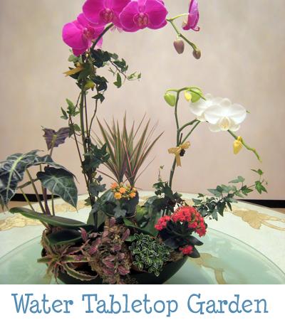Water Tabletop Garden