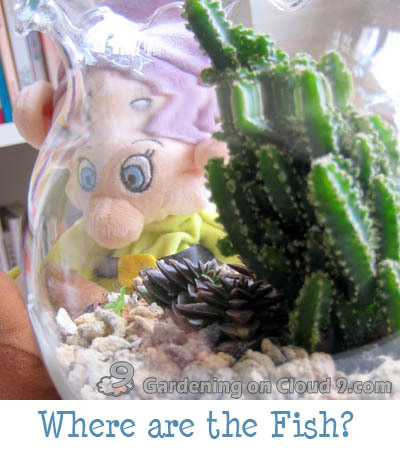Tabletop Garden - Fishbowl of Cactus