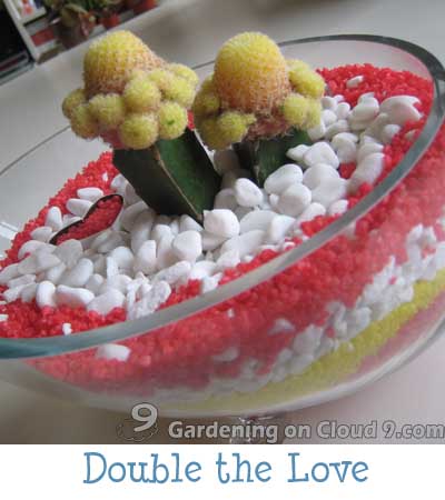 Tabletop Garden - Double the Love